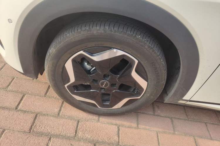 Used BYD Dolphin 2025 Smart Drive Version 420 km Freedom Edition Left Front Wheel Hub