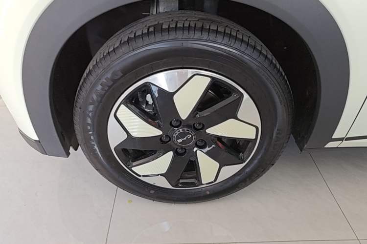 Used BYD Dolphin 2025 420km Free Edition Left Front Wheel Hub