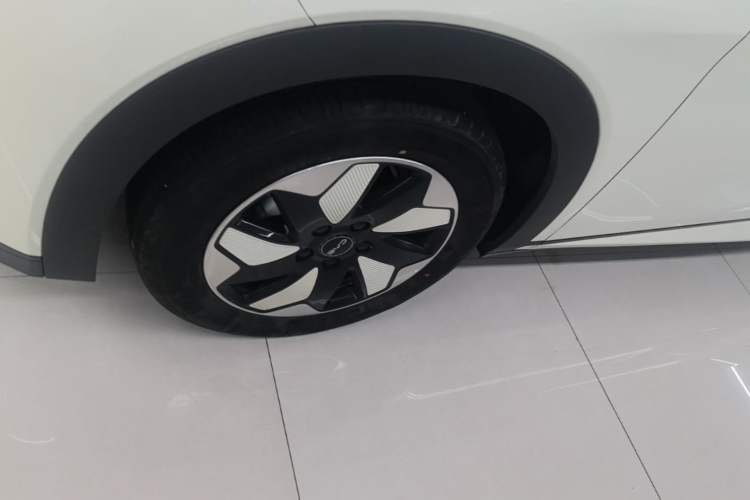 Used BYD Dolphin 2025 420km Free Edition Left Front Wheel Hub