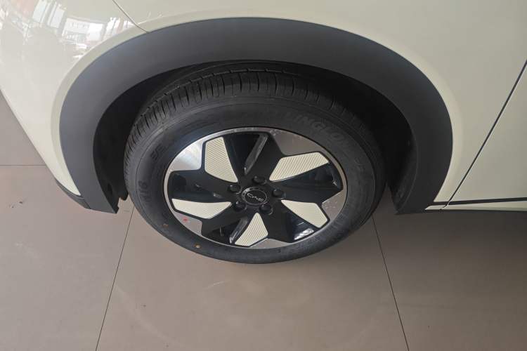 Used BYD Dolphin 2025 420km Free Edition Left Front Wheel Hub