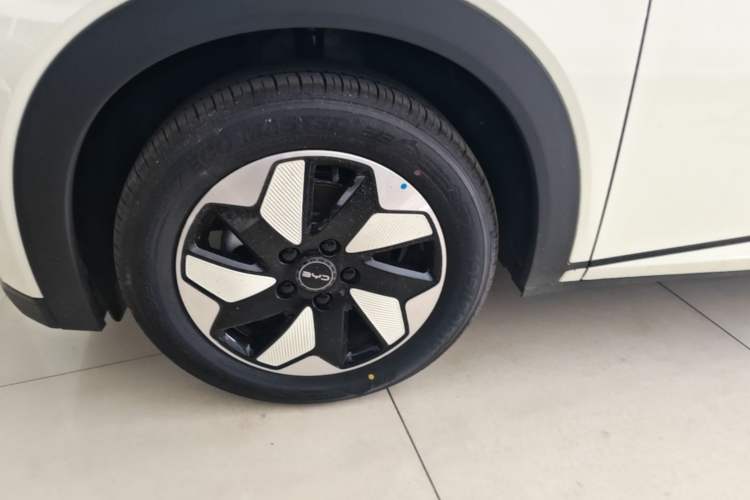 Used BYD Dolphin 2025 420km Free Edition Left Front Wheel Hub