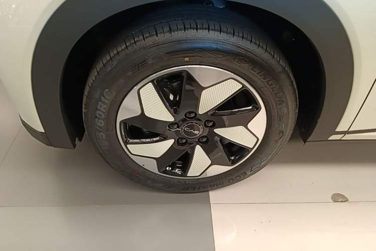 Used BYD Dolphin 2025 420km Free Edition Left Front Wheel Hub