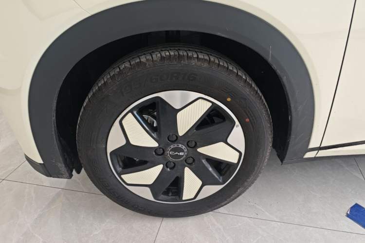 Used BYD Dolphin 2025 420km Free Edition Left Front Wheel Hub