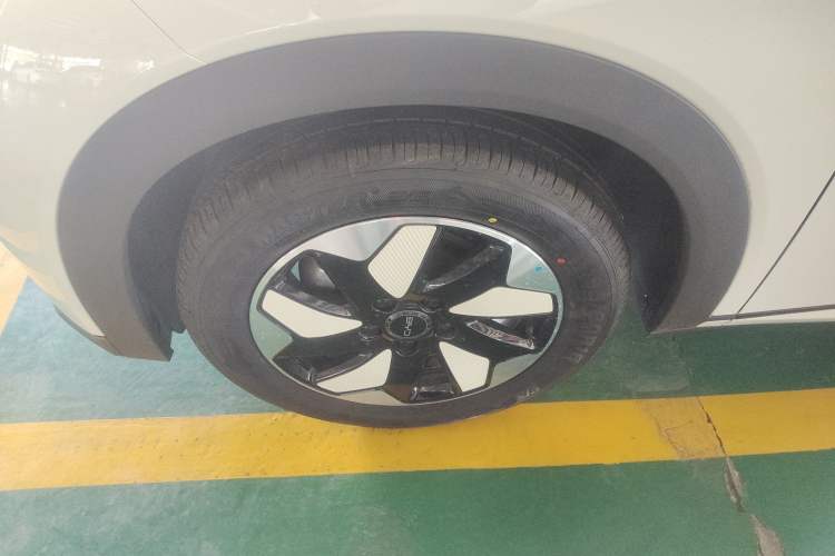 Used BYD Dolphin 2025 420km Free Edition Left Front Wheel Hub