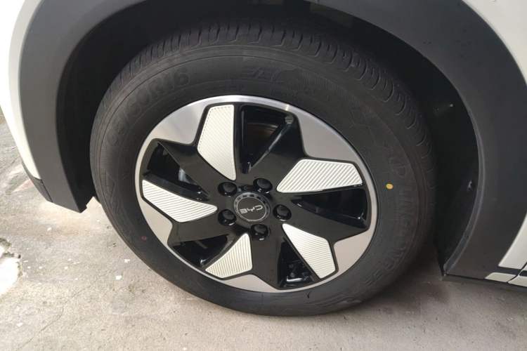 Used BYD Dolphin 2025 420km Free Edition Left Front Wheel Hub