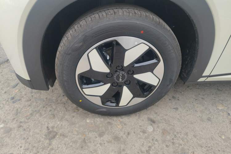 Used BYD Dolphin 2025 420km Free Edition Left Front Wheel Hub