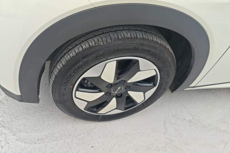Used BYD Dolphin 2025 420km Free Edition Left Front Wheel Hub