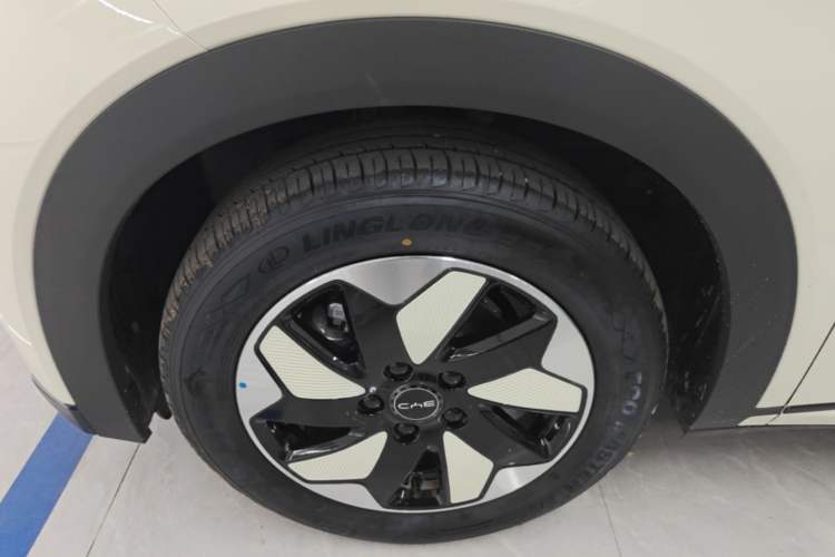 Used BYD Dolphin 2025 420km Free Edition Left Front Wheel Hub