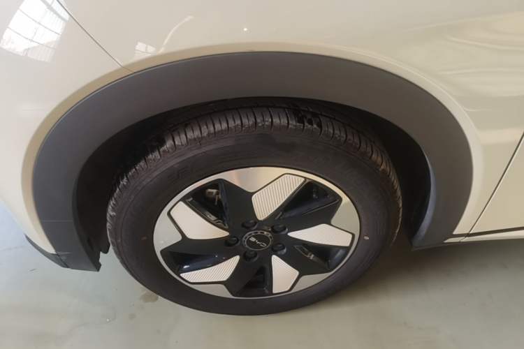 Used BYD Dolphin 2025 420km Free Edition Left Front Wheel Hub