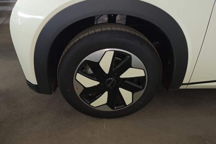 Used BYD Dolphin 2025 420km Free Edition Left Front Wheel Hub