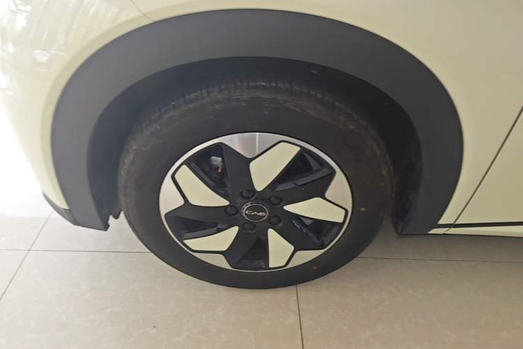 Used BYD Dolphin 2025 420km Free Edition Left Front Wheel Hub