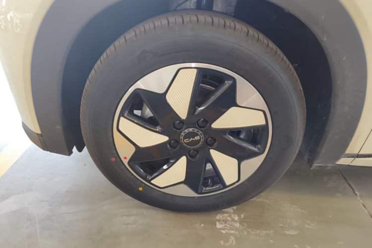Used BYD Dolphin 2025 420km Free Edition Left Front Wheel Hub