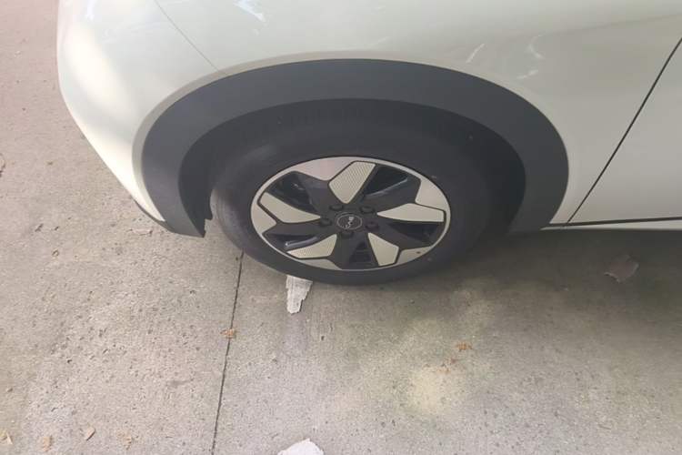 Used BYD Dolphin 2025 420km Free Edition Left Front Wheel Hub