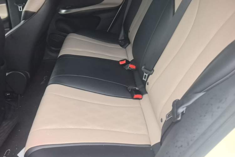 Used BYD Dolphin 2025 420km Active Version Left Rear Seat