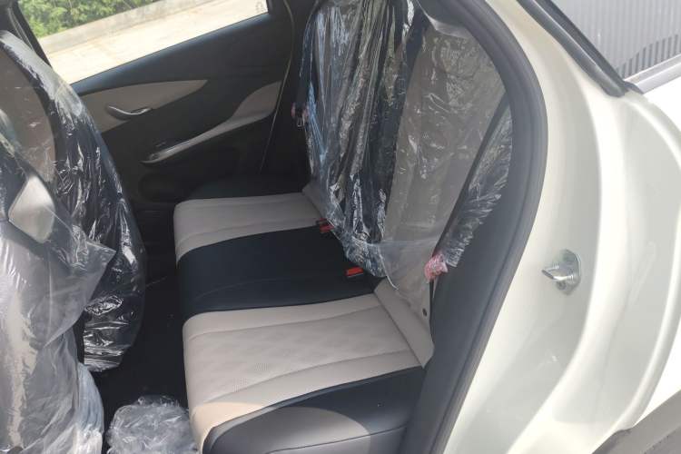 Used BYD Dolphin 2025 420km Free Edition Left Rear Seat