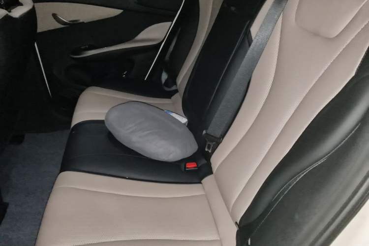 Used BYD Dolphin 2025 Intelligent Driving Version 520km Range Knight Edition Left Rear Seat