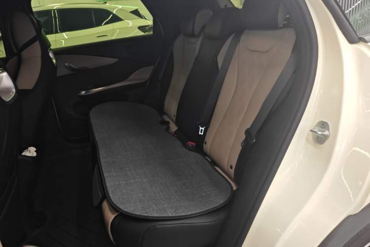 Used BYD Dolphin 2025 420km Free Edition Left Rear Seat
