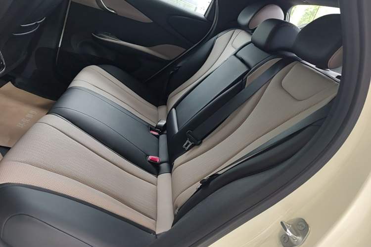 Used BYD Dolphin 2025 Intelligent Driving Version 410 km Fashion Edition Left Rear Seat