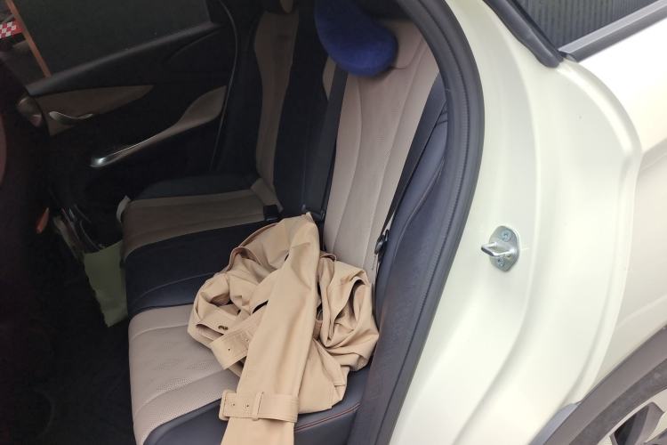 Used BYD Dolphin 2025 420km Free Edition Left Rear Seat