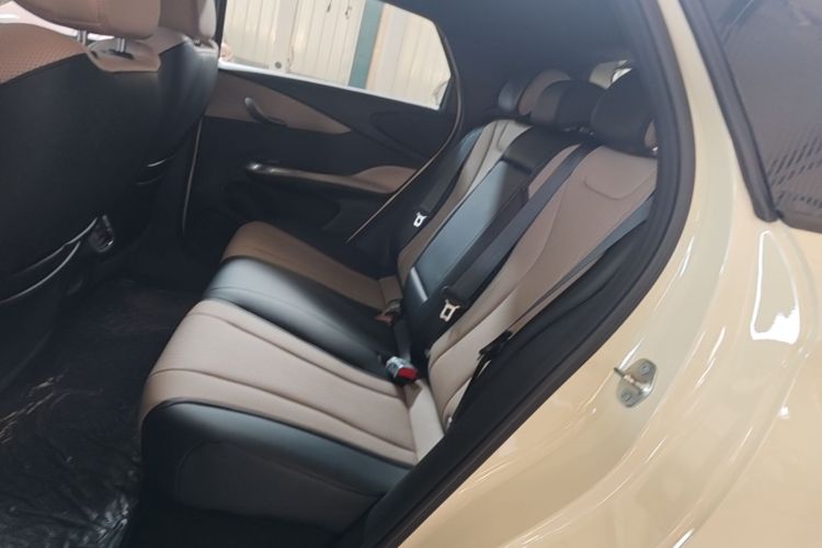 Used BYD Dolphin 2025 Intelligent Driving Version 410 km Fashion Edition Left Rear Seat