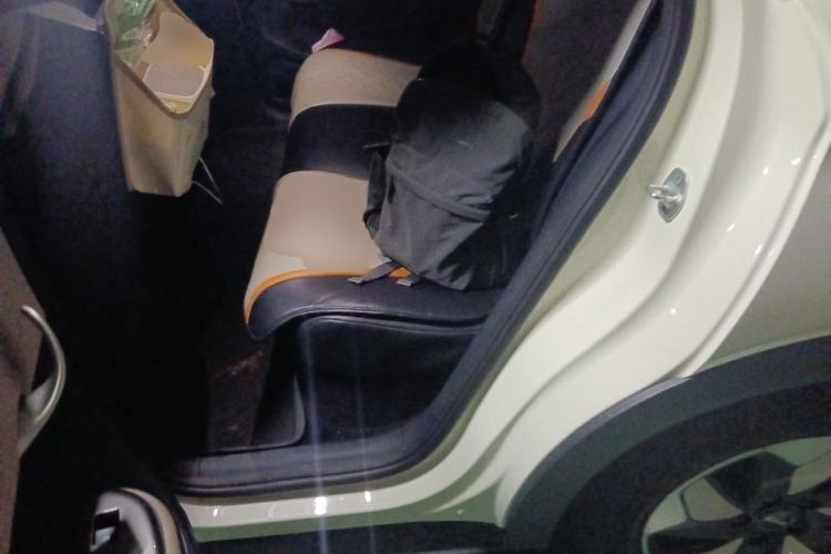 Used BYD Dolphin 2025 420km Free Edition Left Rear Seat