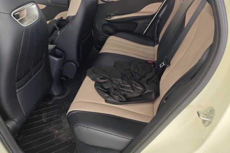 Used BYD Dolphin 2025 420km Free Edition Left Rear Seat