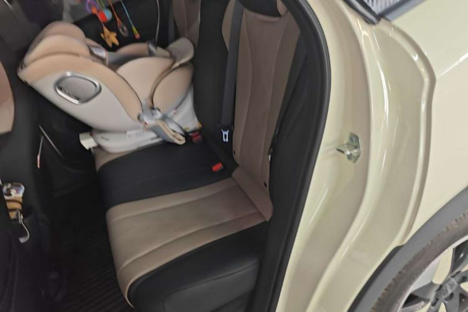Used BYD Dolphin 2025 420km Free Edition Left Rear Seat