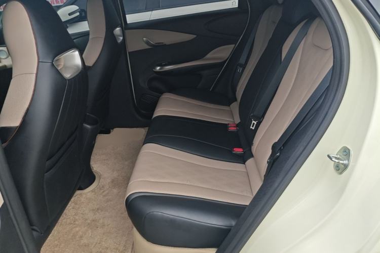 Used BYD Dolphin 2025 420km Free Edition Left Rear Seat