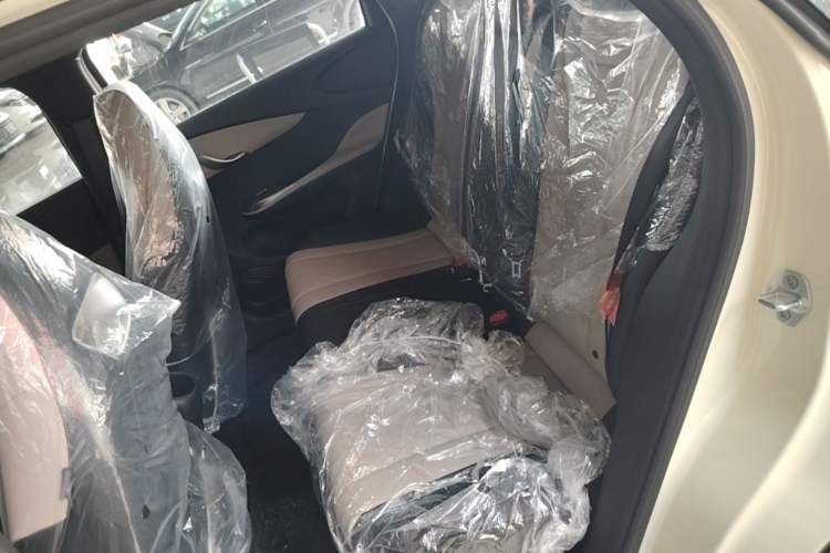 Used BYD Dolphin 2025 420km Free Edition Left Rear Seat