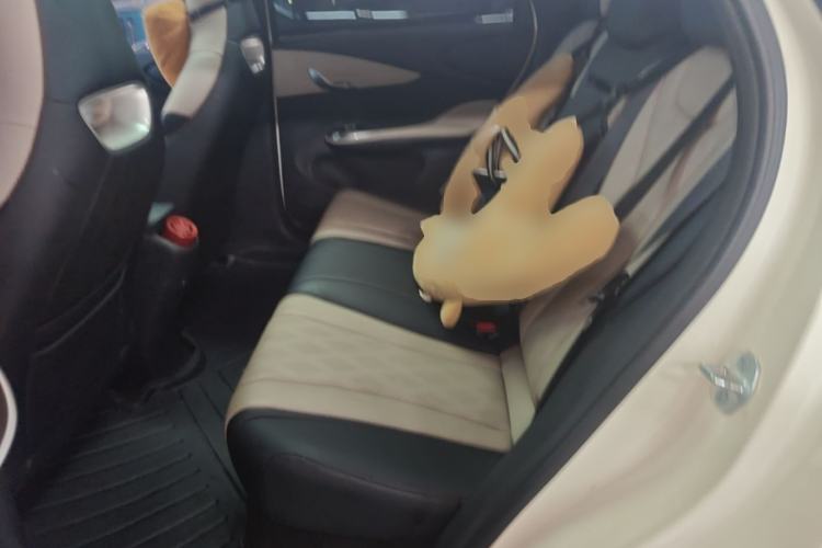 Used BYD Dolphin 2025 420km Fashion Edition Left Rear Seat