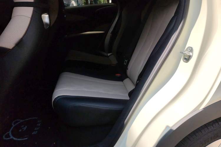 Used BYD Dolphin 2025 420km Free Edition Left Rear Seat
