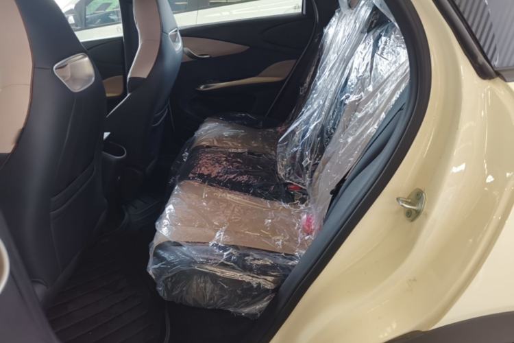 Used BYD Dolphin 2025 420km Free Edition Left Rear Seat