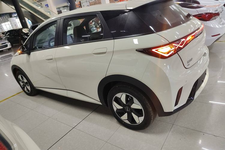 Used BYD Dolphin 2025 420km Free Edition Left Side