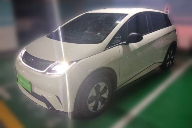 Used BYD Dolphin 2025 420km Free Edition
