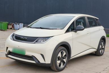 Used BYD Dolphin 2025 420km Free Edition