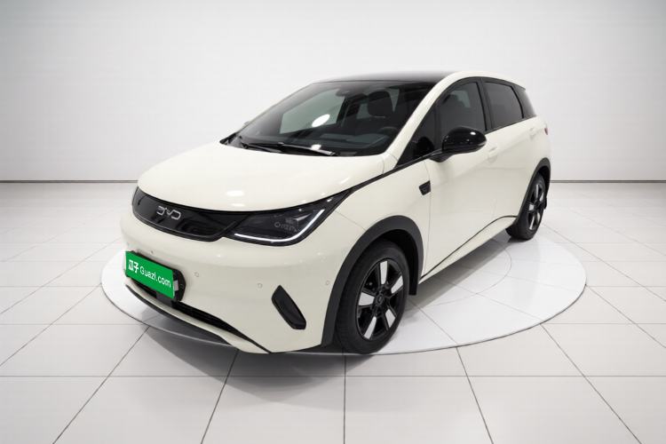 BYD Dolphin 2025 Intelligent Driving Version 410 km Fashion Edition