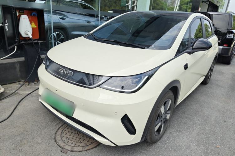 BYD Dolphin 2025 Intelligent Driving Version 410 km Fashion Edition