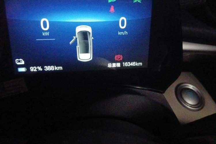 Used BYD Dolphin 2025 420km Free Edition Odometer Close Up