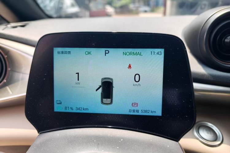 Used BYD Dolphin 2025 420km Free Edition Odometer Close Up