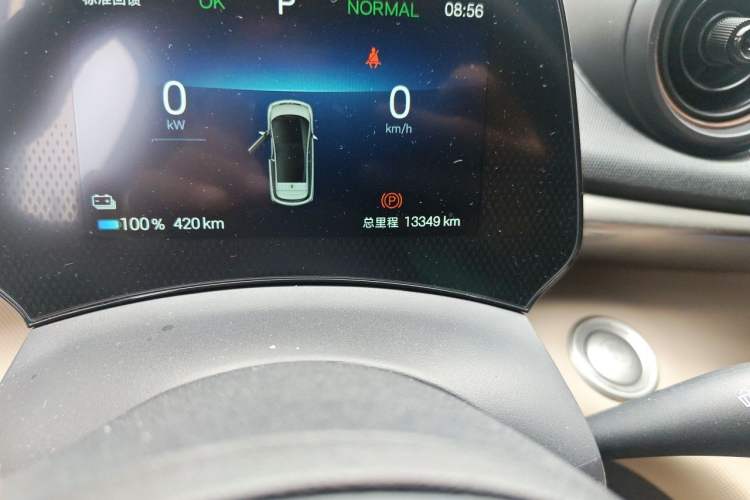 Used BYD Dolphin 2025 420km Free Edition Odometer Close Up