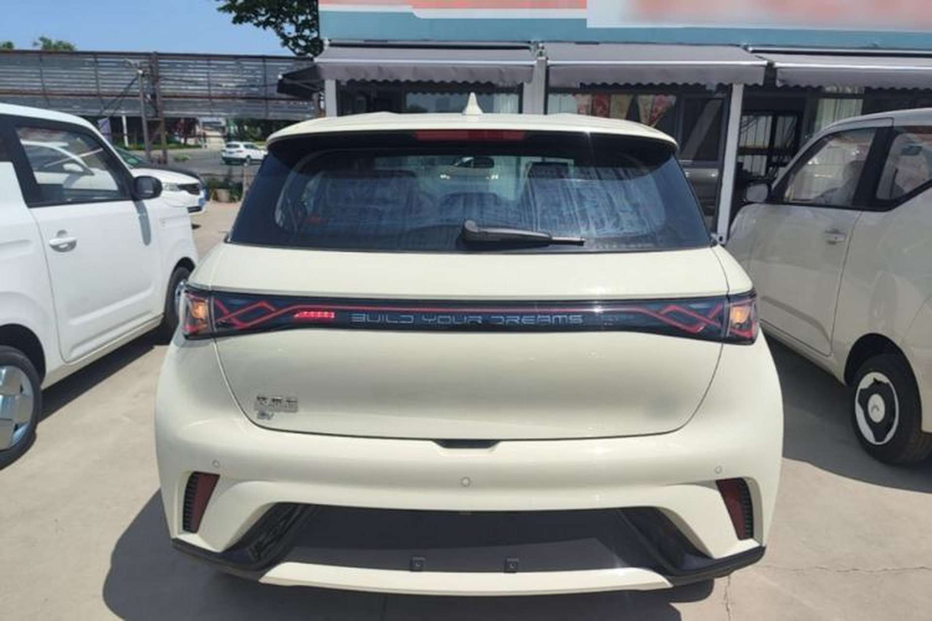 Used BYD Dolphin 2025 420km Free Edition Rear