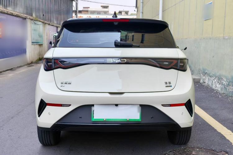 Used BYD Dolphin 2025 Smart Drive Version 420 km Freedom Edition Rear