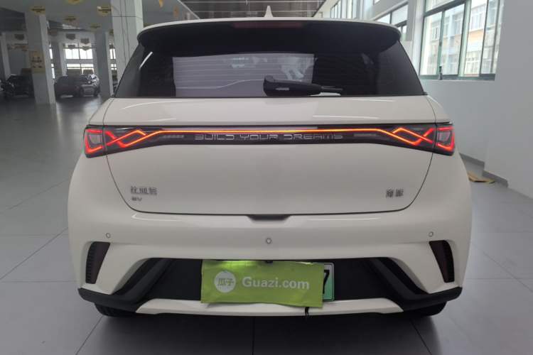 Used BYD Dolphin 2025 420km Free Edition Rear
