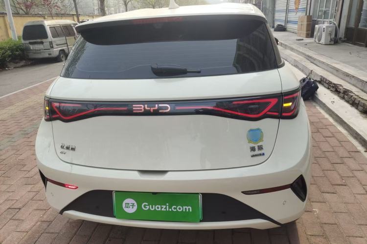 Used BYD Dolphin 2025 Smart Drive Version 420 km Freedom Edition Rear