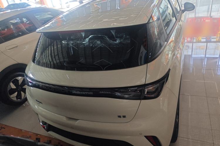 Used BYD Dolphin 2025 420km Free Edition Rear