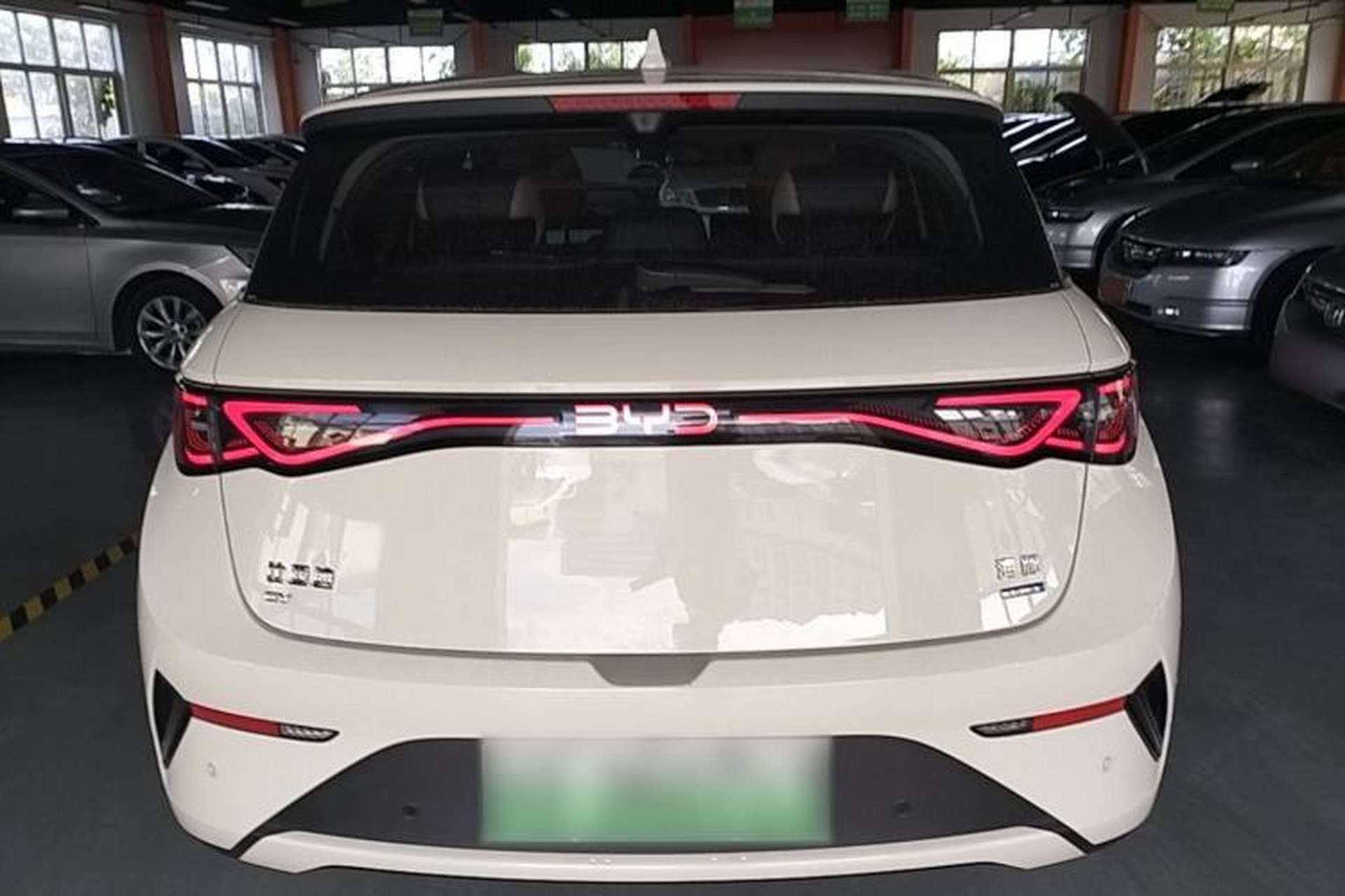 Used BYD Dolphin 2025 Smart Drive Version 420 km Freedom Edition Rear