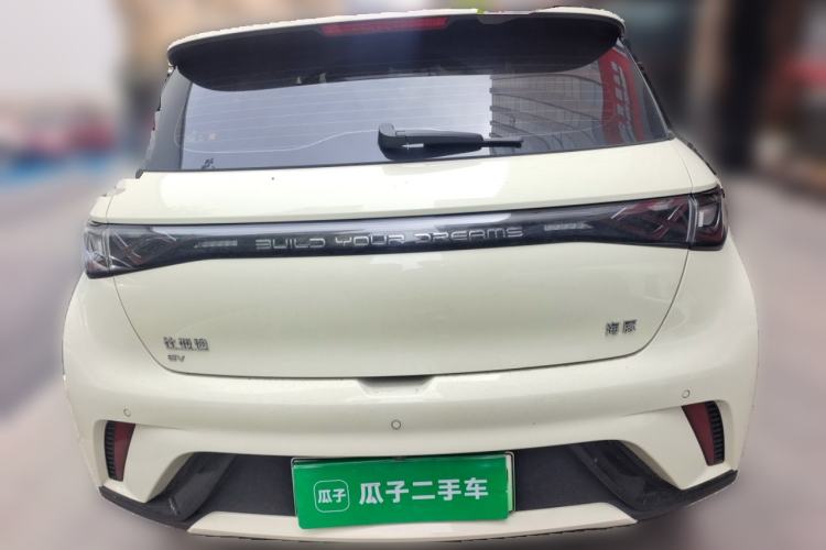 Used BYD Dolphin 2025 420km Free Edition Rear