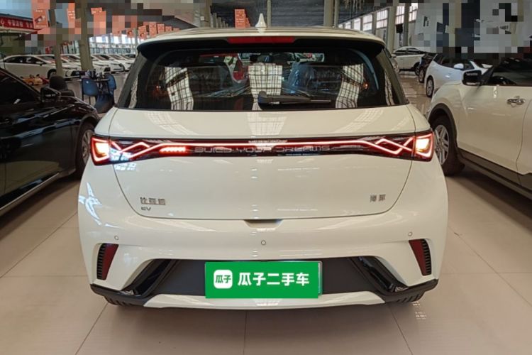 Used BYD Dolphin 2025 420km Free Edition Rear