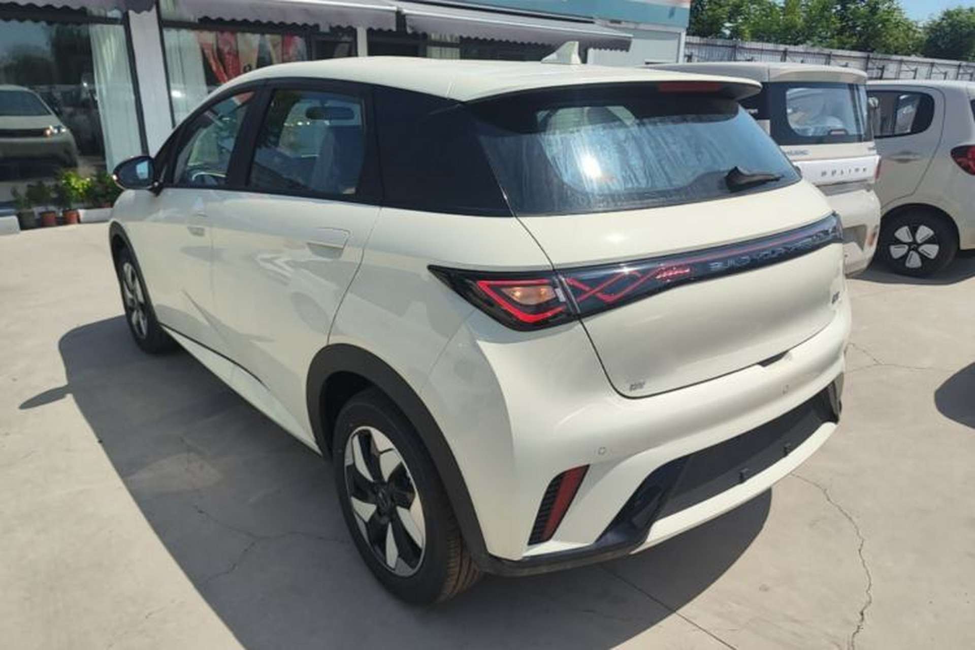 Used BYD Dolphin 2025 420km Free Edition Rear Left 45 Deg