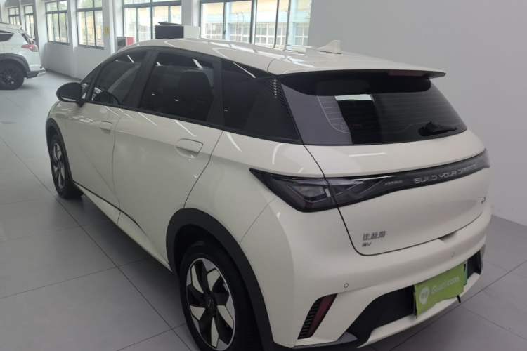 Used BYD Dolphin 2025 420km Free Edition Rear Left 45 Deg